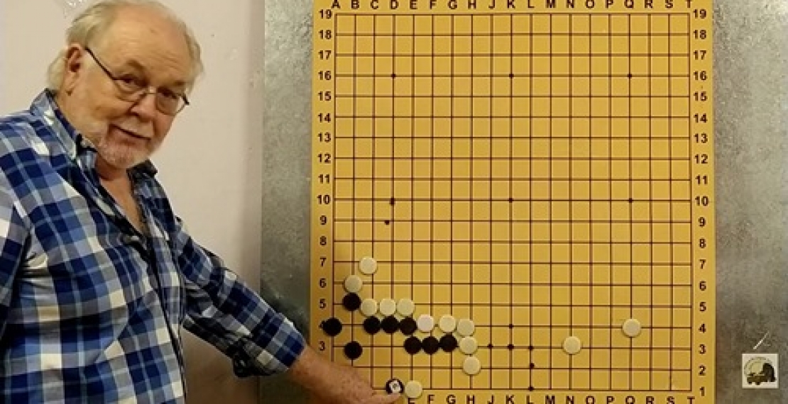 Haroldo Brown sobre Alpha Go